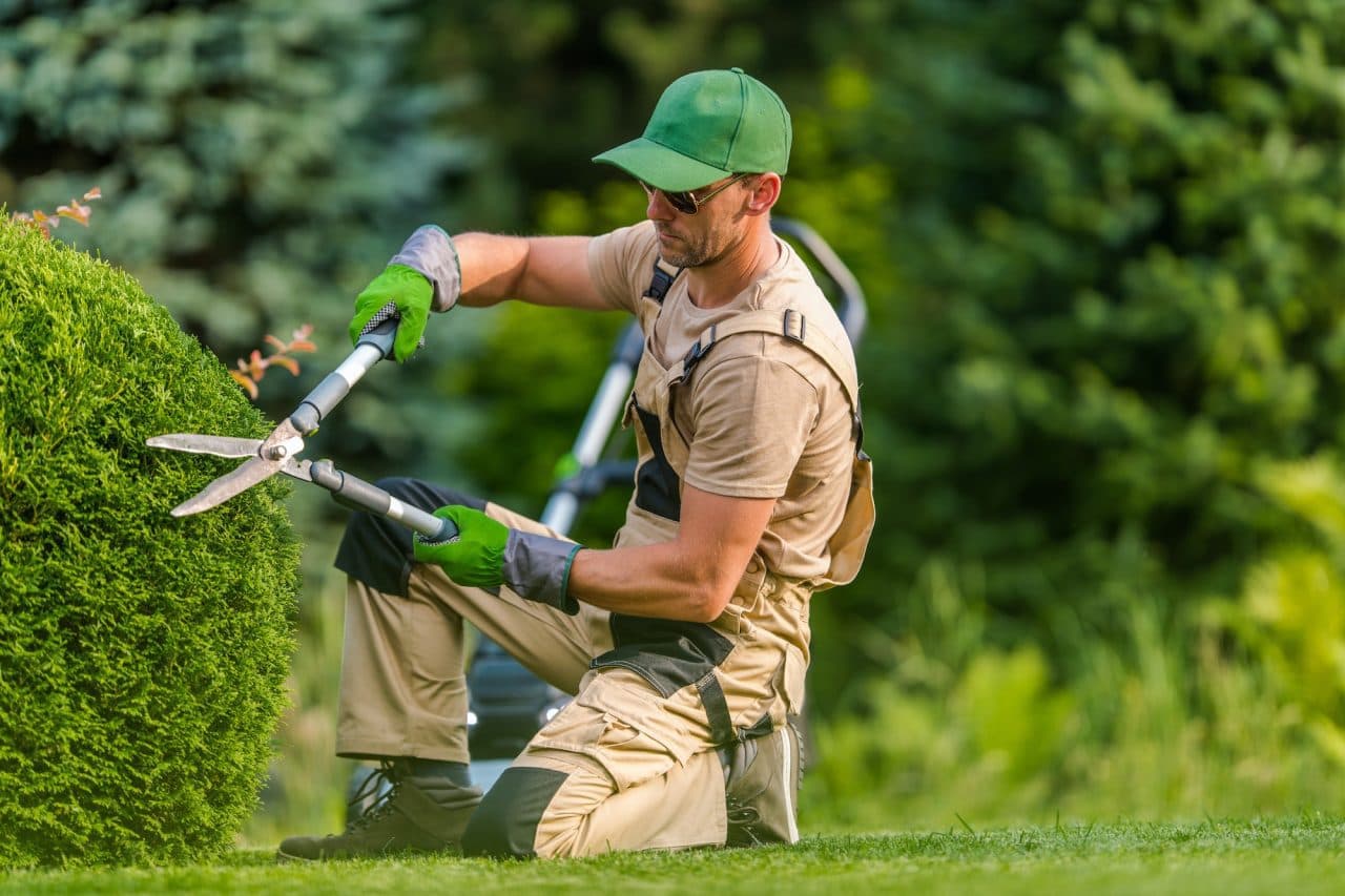 Lawn Acme Inc.